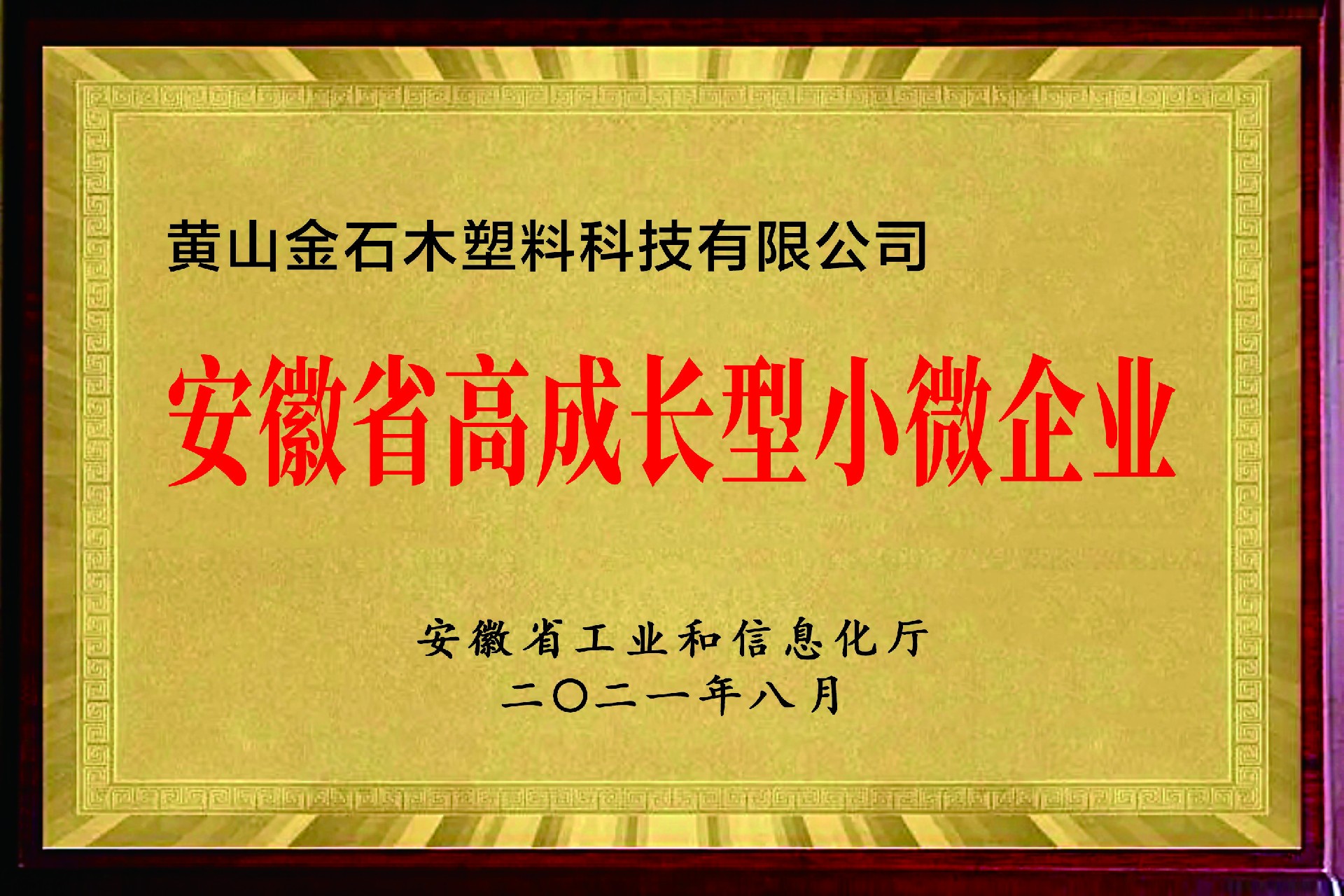 安徽省高成長(zhǎng)型小微企業(yè).jpg